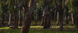 landscape-fotografia-paesaggistica