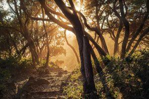 landscape-fotografia-paesaggistica