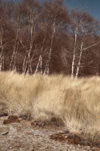 landscape-fotografia-paesaggistica