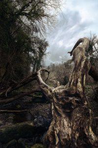 landscape-fotografia-paesaggistica